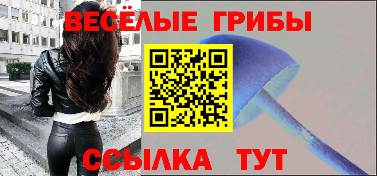 наркотики  Вход с VPN  Оренбург  Псилоцибиновые грибы Cubensis 